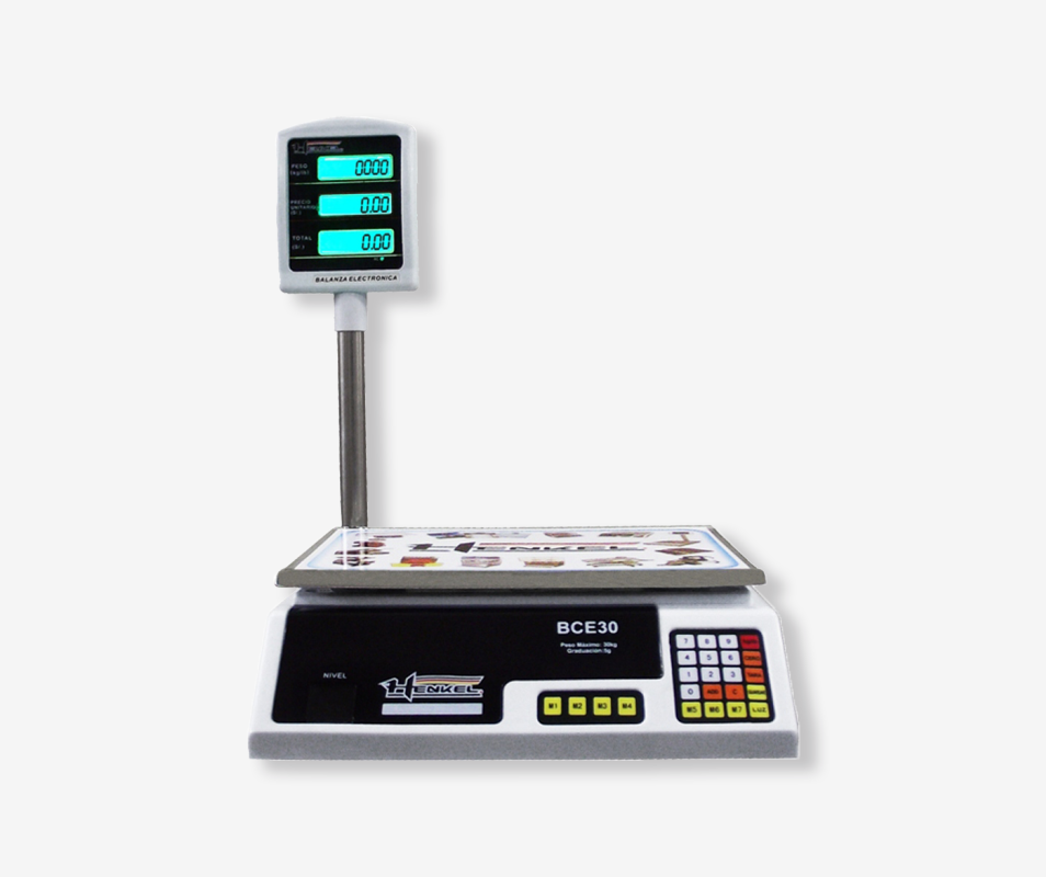 BALANZA COMERCIAL -MODELO BCE30