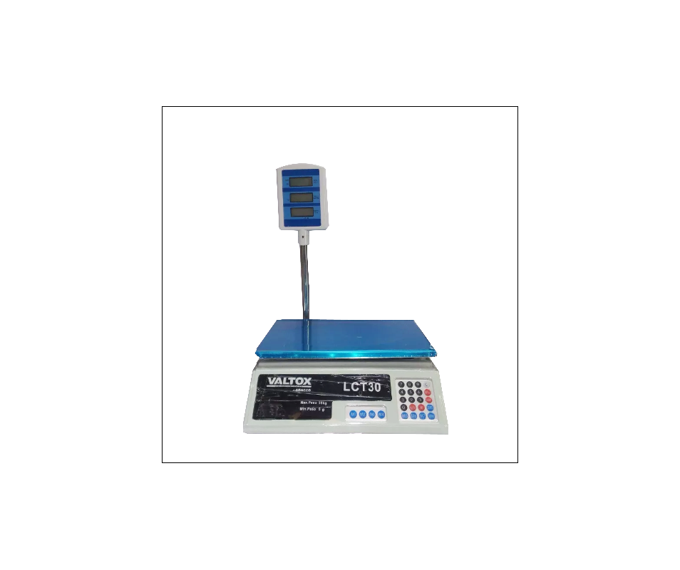 BALANZA INDUSTRIAL LCT30